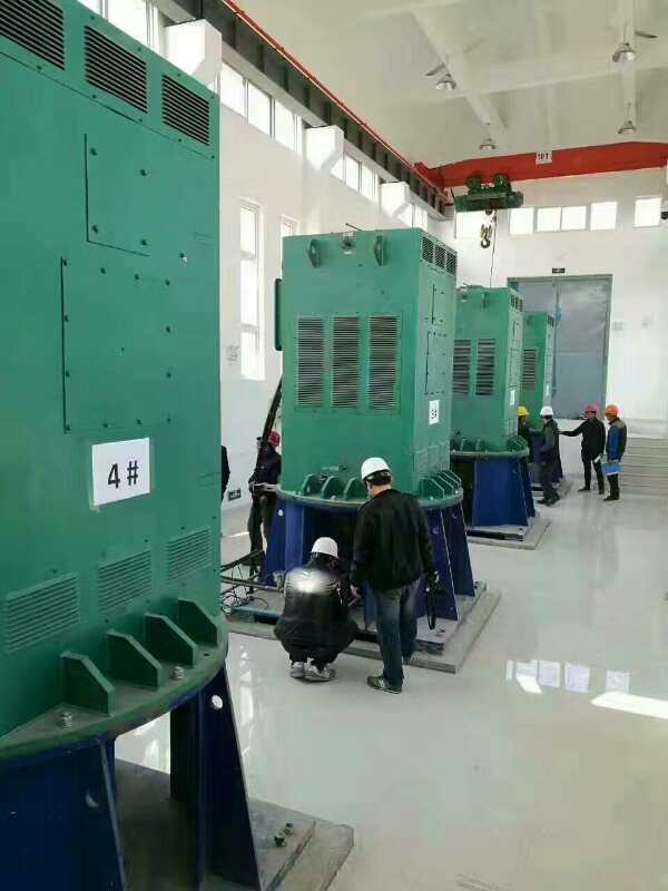 宁陕某污水处理厂使用我厂的立式高压电机安装现场