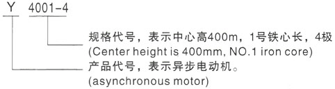 西安泰富西玛Y系列(H355-1000)高压宁陕三相异步电机型号说明